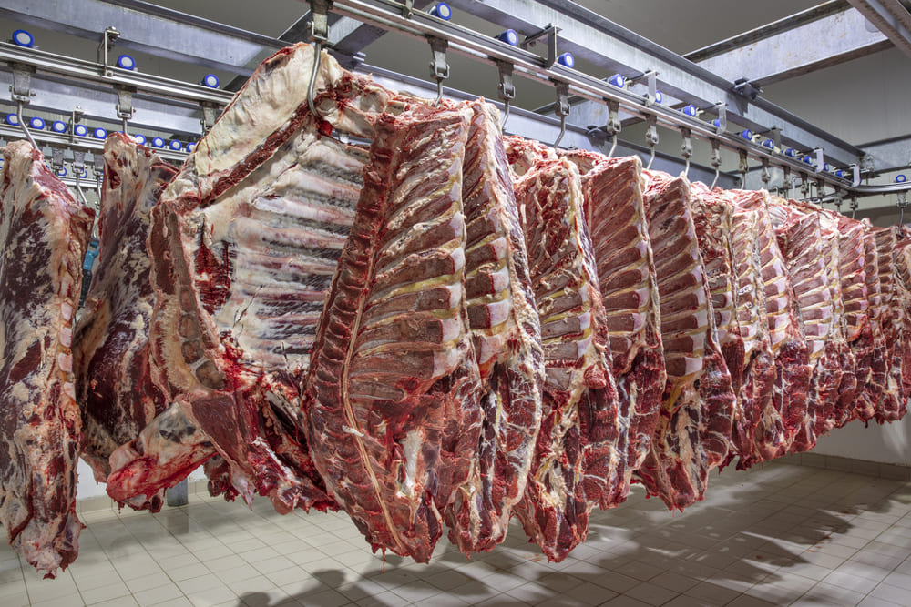 Produção inteligente: conheça a tecnologia que faz seu frigorífico produzir mais gastando menos